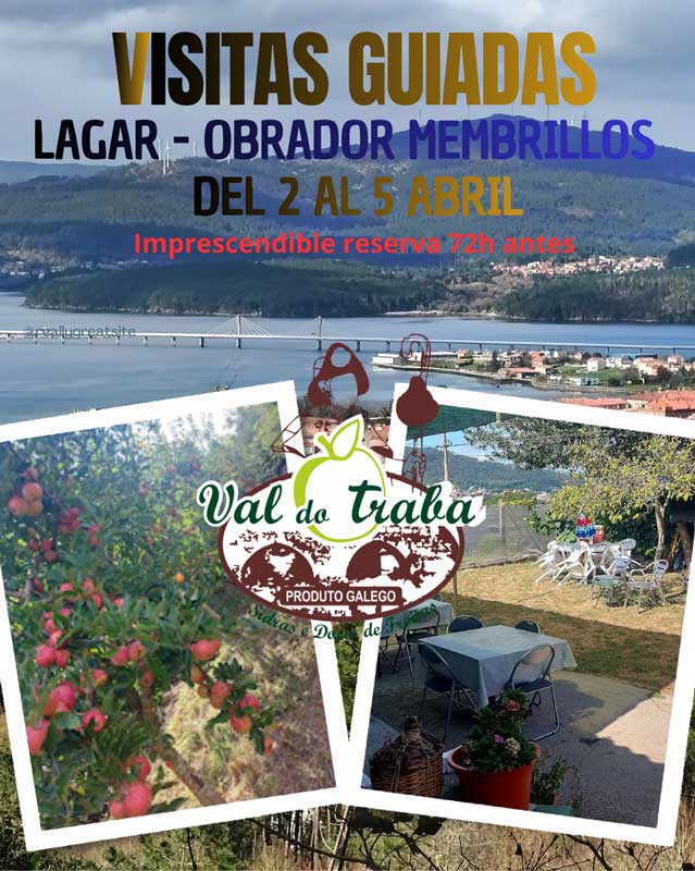 Cartel Visitas Guiadas